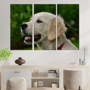 Голдън ретривър портрет - картина пано за стена - 1 2
