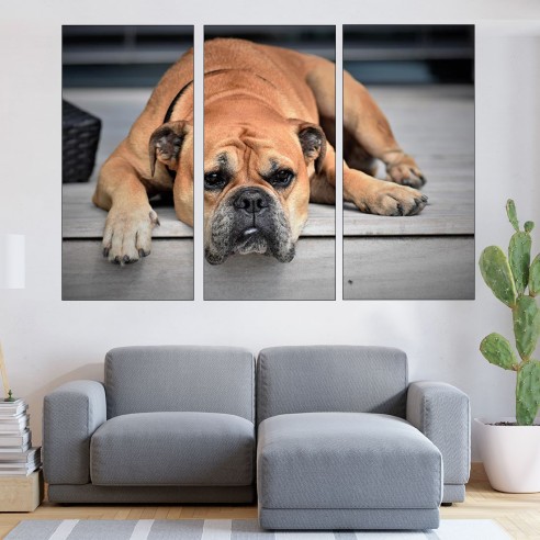 Легнал булдог - картина пано за стена - 2