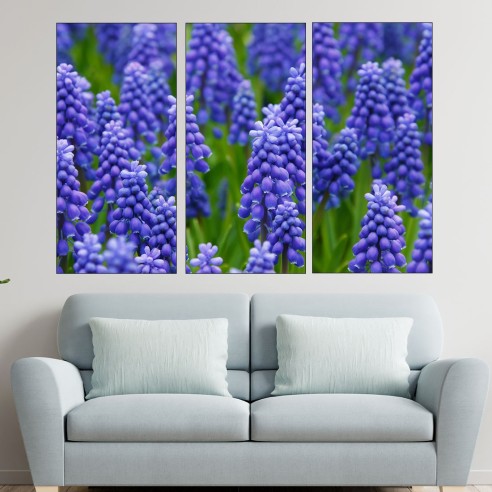 Син гроздов зюмбюл - картина пано за стена - 2