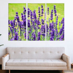 Лавандулов храст в полето - картина пано за стена - 1 2