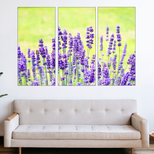 Цъфнала лавандула в полето - картина пано за стена - 2