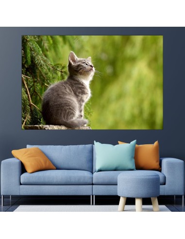 Портрет на коте в гората - картина пано за стена - 1