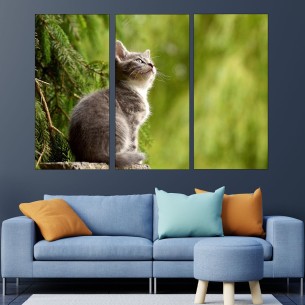 Портрет на коте в гората - картина пано за стена - 1 2