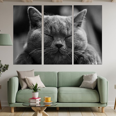 Дремеща сива котка - картина пано за стена - 1