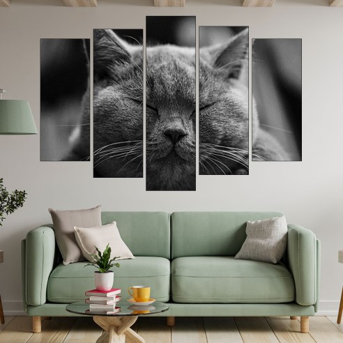 Дремеща сива котка - картина пано за стена - 3