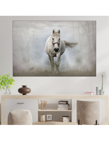 Бял кон в мъглата - картина пано за стена - 1
