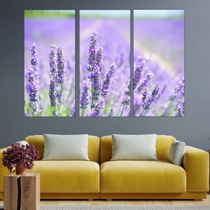 Цъфнала лавандула - картина пано за стена - 1 2