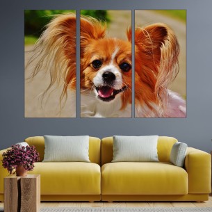Потрет на чихуахуа - картина пано за стена - 1 2