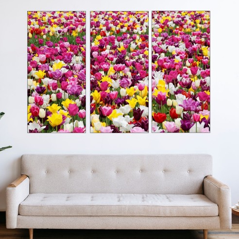 Поле с лалета в Холандия - картина пано за стена - 2