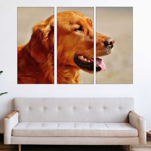 Портрет на ирландски сетер - картина пано за стена - 2