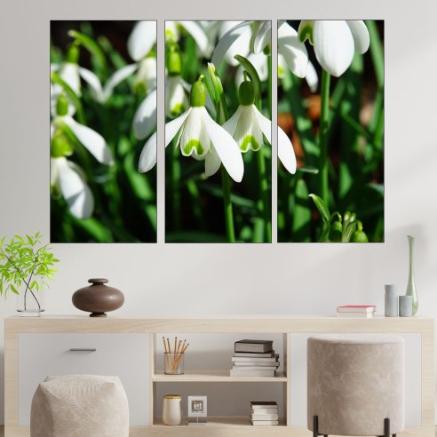 Пролетни кокичета - картина пано за стена - 2