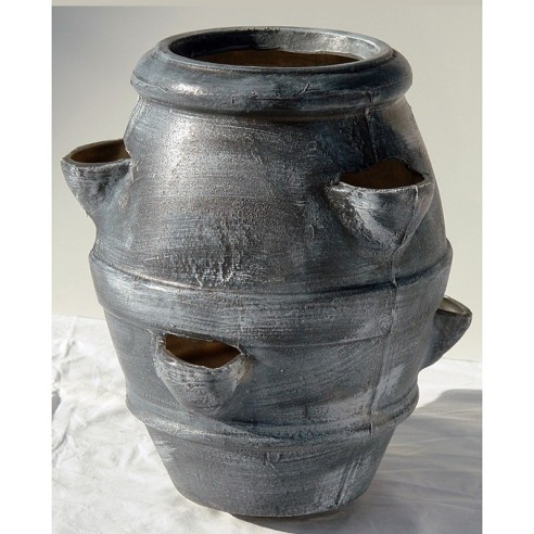 Саксия Петрашилник