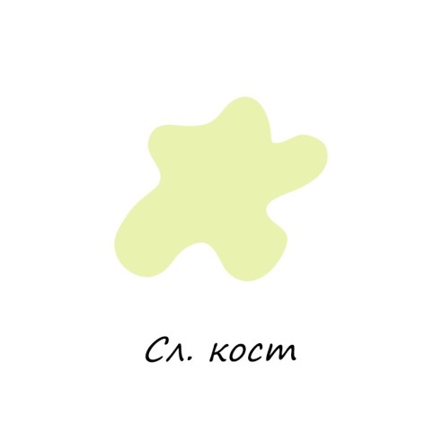 Боя блажна алкидна сл. кост  0.700кг si belle - 2