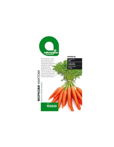 Семена Нантски моркови - 1