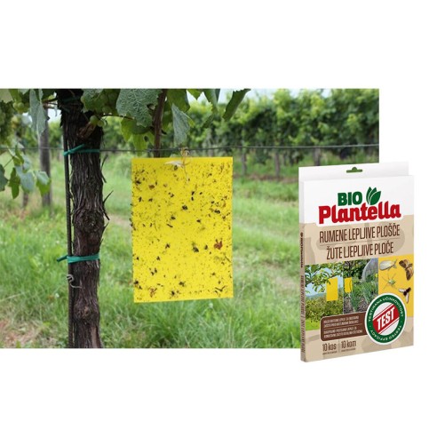 Лепящи жълти листове за защита от насекоми Bio Plantella- 10 бр. - 2