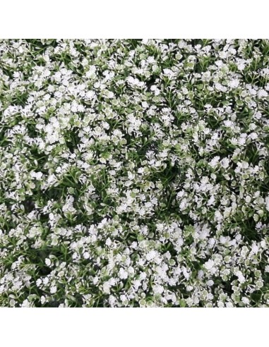 Изкуствена трева за стена 40х60 см ситно бяло DIY-AP-19