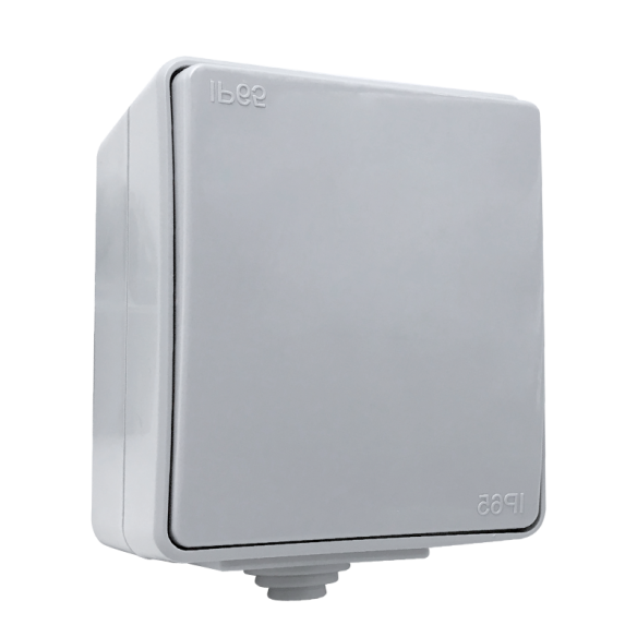 Ключ СХ.1 открит монтаж IP65 сив - 1