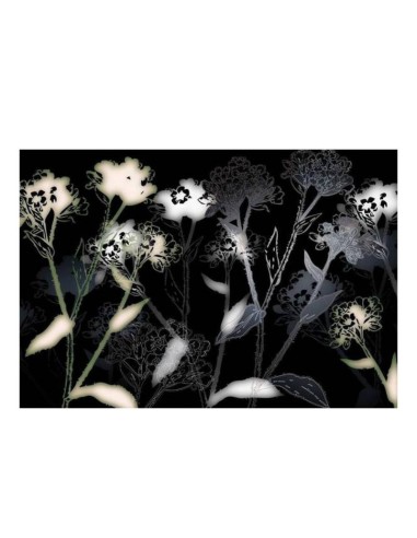 Фототапет бели и черни цветя 368х254см KOMAR - 1