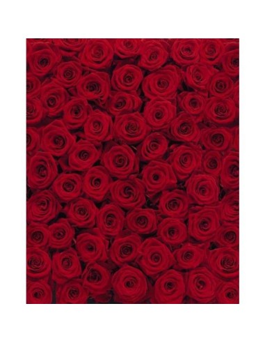 Фототапет червени рози 194х270см Decora Nanet - 1