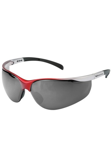 Предпазни затъмнени очила с поликарбонатни лещи ROZELLE - 1