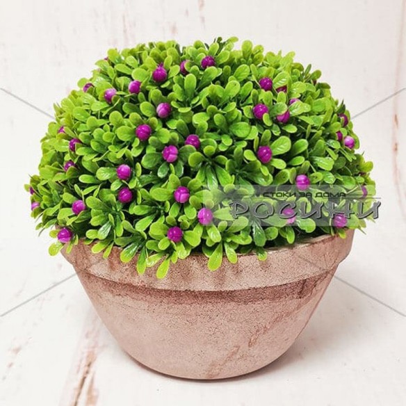 Изкуствен храст в кашпа тип топка Ø18x16 см - 1