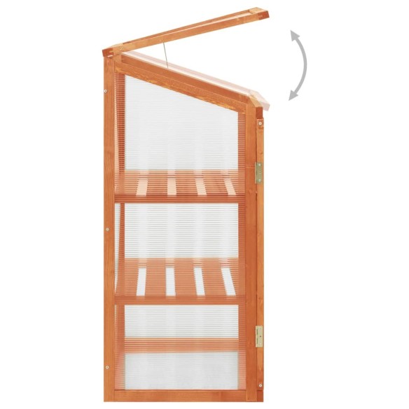 Мини оранжерия - 60x45x100 см - правоъгълна - дърво - 6