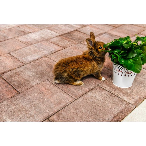 Бетонни блокчета - 20х20х6 - VIENA - PETRA PAVAJE