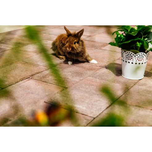 Бетонни блокчета - 30х20х6 - VIENA - PETRA PAVAJE