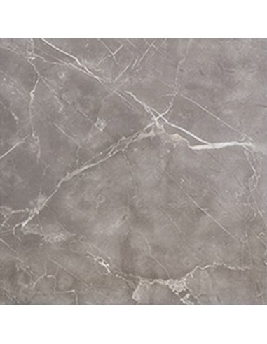 Гранитогрес Akropolis Grey 60.8x60.8 см сив ECOCERAMIC