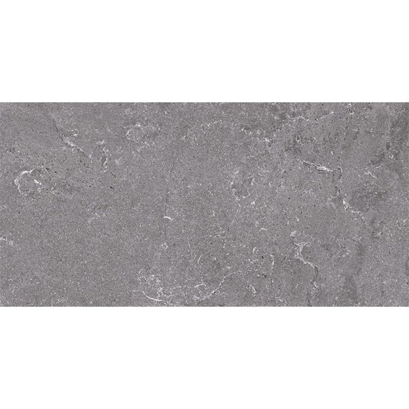Гранитогрес 60x120 см Salus Grey сив BIEN ➤ топ цена ➤ dshome.bg
