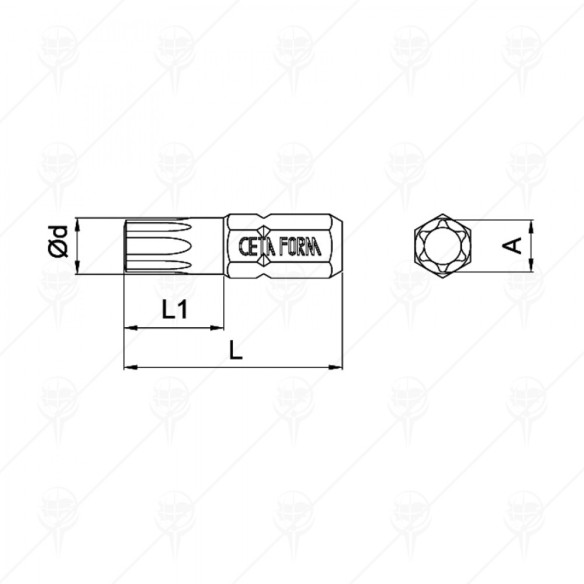Накрайник Тоrx Т9х25мм CETA-FORM - 2