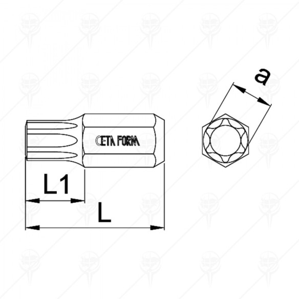 Накрайник за вложка Тоrx Т55х30мм CETA-FORM - 2