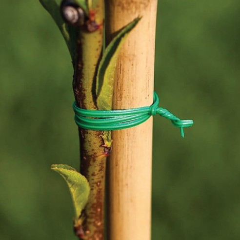 Градинска тел за връзване 20 см 100 бр. зелена BRADAS ➤ топ цена ➤ dshome.bg