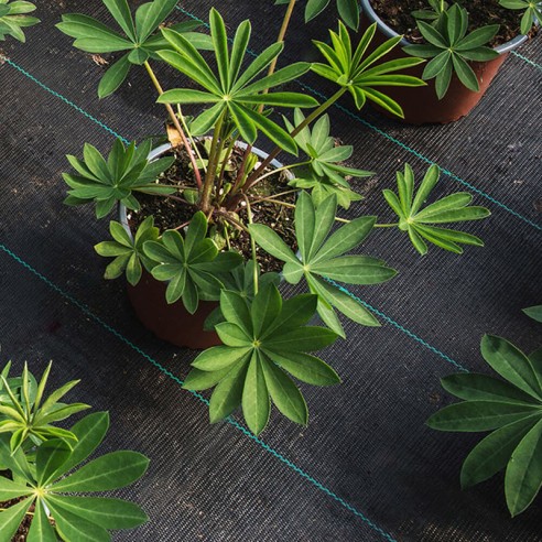 Покривало против плевели тъкан текстил 1.1х100 м черно BRADAS ➤ топ цена ➤ dshome.bg