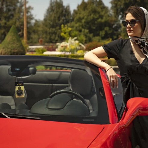 Ароматизатор за кола Черен крал VIP AREON ➤ топ цена ➤ dshome.bg