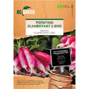 Семена Био репички Flamboyant 2 REGREEN ➤ топ цена ➤ dshome.bg