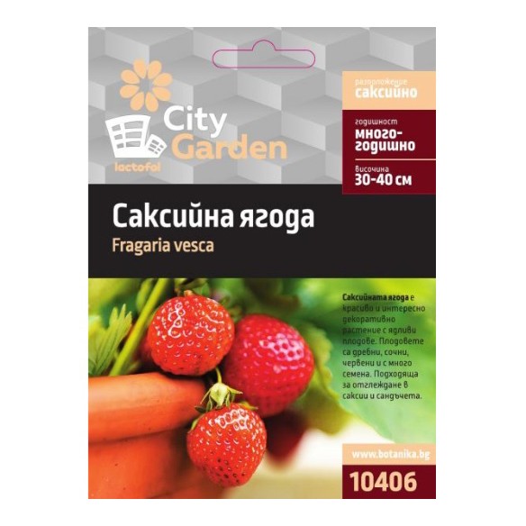 Семена Саксийна ягода CITY GARDEN ➤ топ цена ➤ dshome.bg