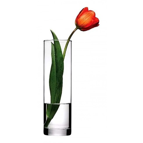 Ваза за цветя тип цилиндър 26 см Botanica PASABAHCE ➤ топ цена ➤ dshome.bg