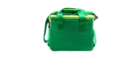 Хладилна чанта с два охладителя 32x25x24 см PALISAD CAPMING