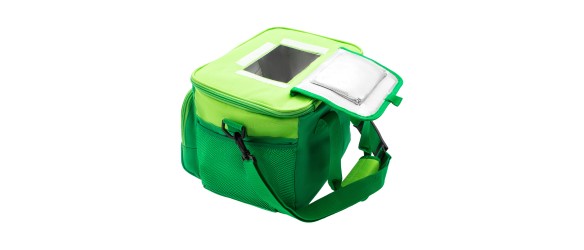 Хладилна чанта с два охладителя 32x25x24 см PALISAD CAPMING