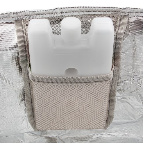 Хладилна чанта с два охладителя 32x25x24 см PALISAD CAPMING