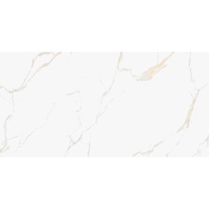 Гранитогрес 60x120 см Eco 1B 2-ро кач. IZIDA CERAMICA 2