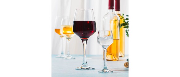 Комплект от 6 чаши за аператив 80 мл Spigo LUIGI FERRERO