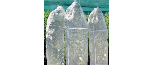 Предпазно покривало 150x40 см 3 бр. HERLY