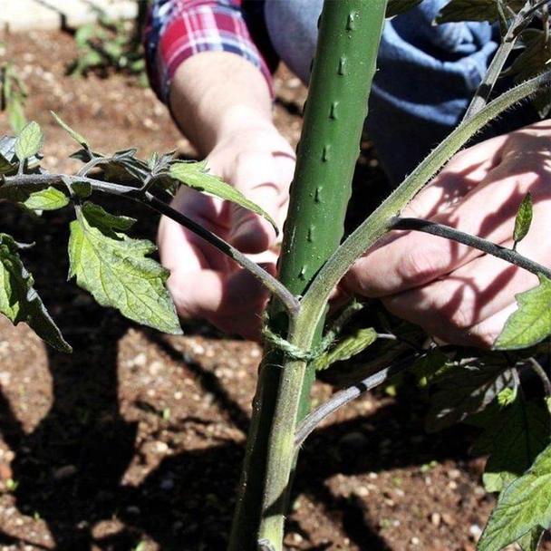 Стоманено колче за растения с PE покритие ø1.1 см 150 см BRADAS - Image 6