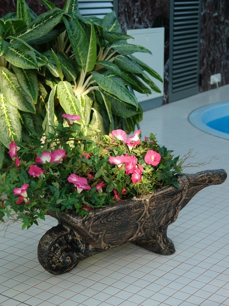 Саксия Количка градинска - Image 2