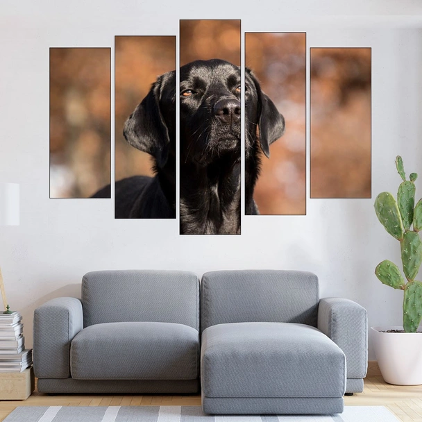 Портрет на черен лабрадор - картина пано за стена - Image 3