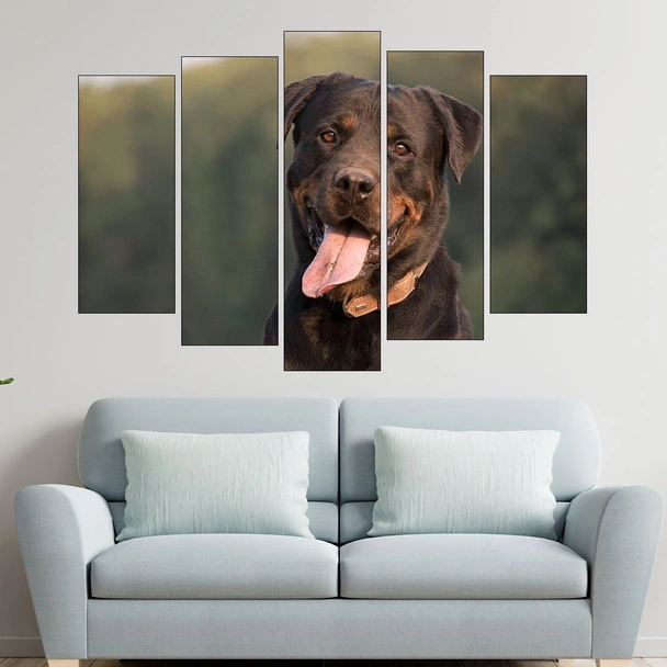 Близък кадър на ротвайлер - картина пано за стена - Image 3