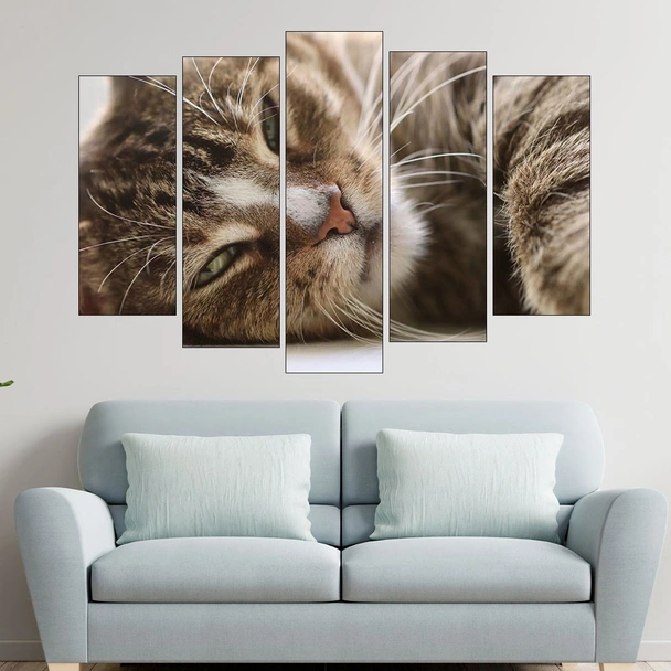 Легнала домашна котка - картина пано за стена - Image 3