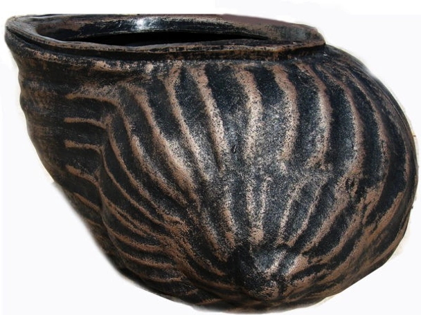 Саксия Черупка - Image 2